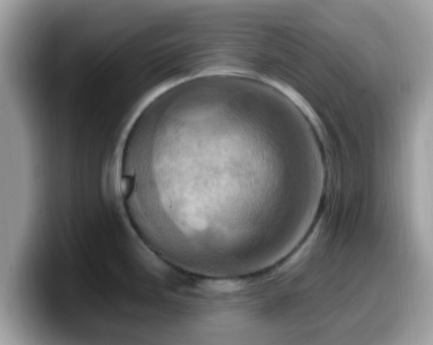 X0000099981246200805301347
