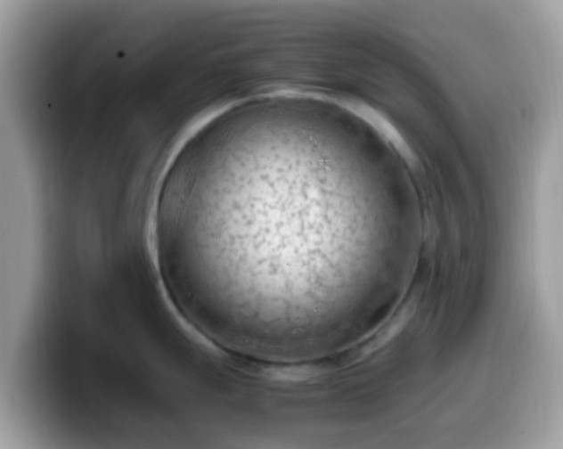 X0000099981247200805301347