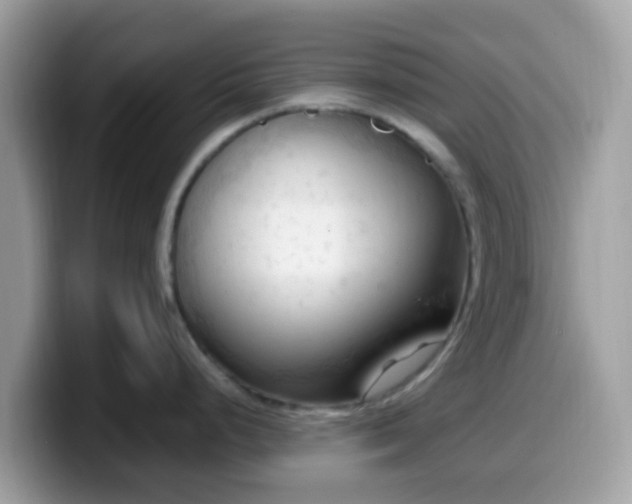 X0000099981248200805301347