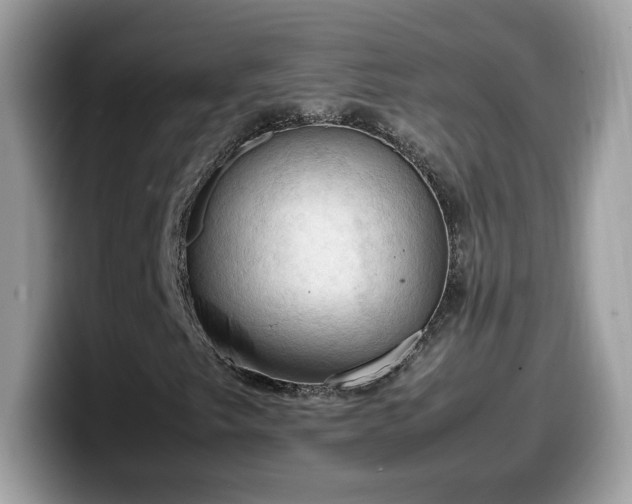 X0000099981249200805301346