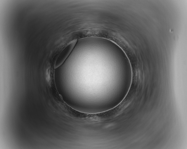 X0000099981250200805301346
