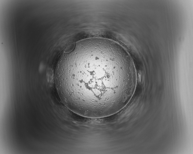 X0000099981251200805301346