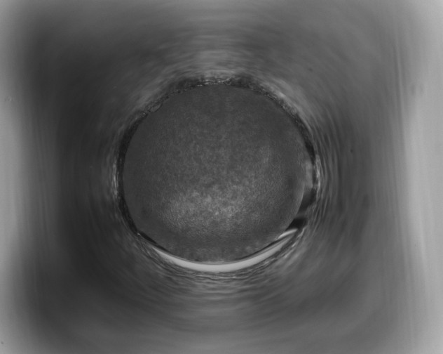 X0000099981252200805301346