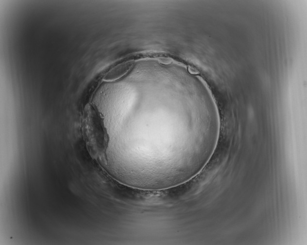 X0000099981255200805301346