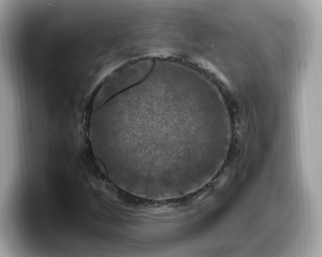 X0000099981256200805301346
