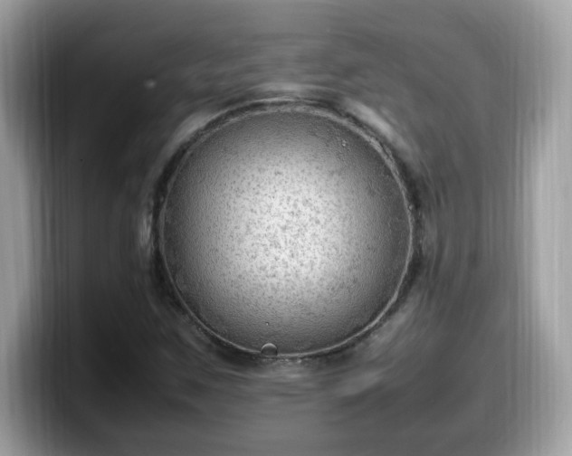 X0000099981259200805301346