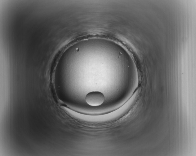 X0000099981261200805301346