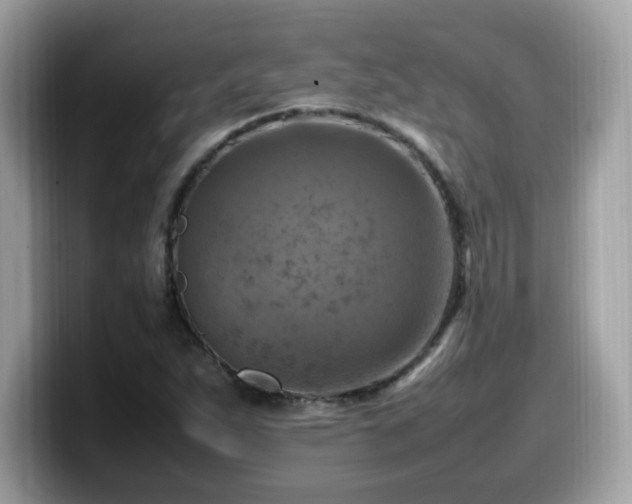 X0000099981263200805301346