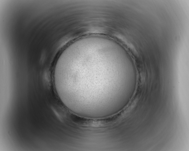 X0000099981266200805301346