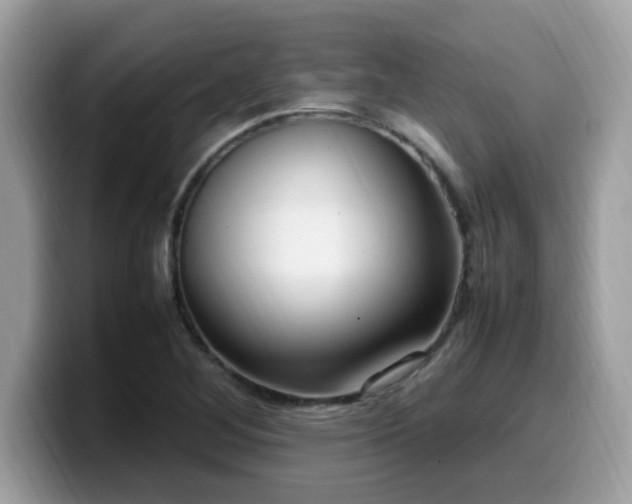 X0000099981268200805301346