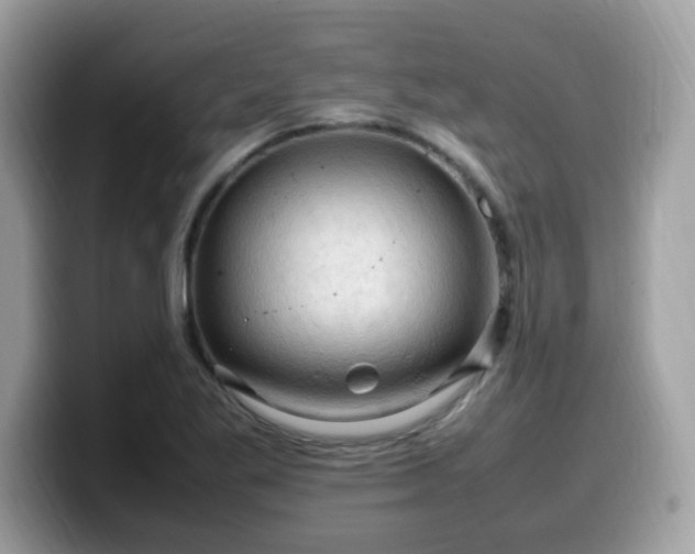 X0000099981269200805301346