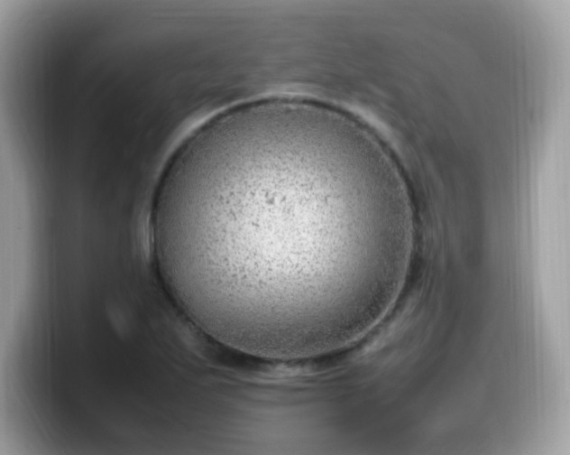 X0000099981271200805301346