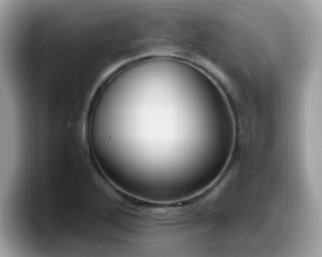 X0000099981272200805301346