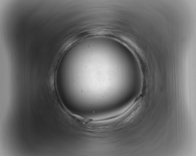 X0000099981273200805301346