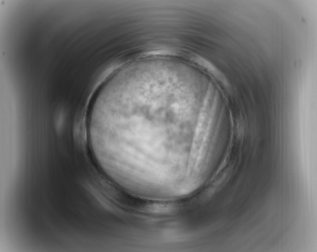 X0000099981274200805301346