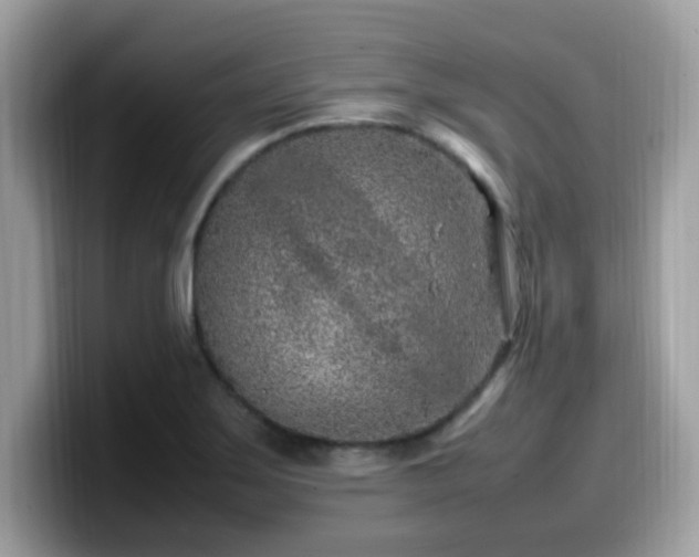 X0000099981275200805301346