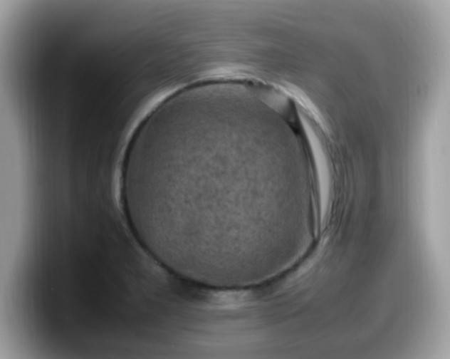X0000099981277200805301346