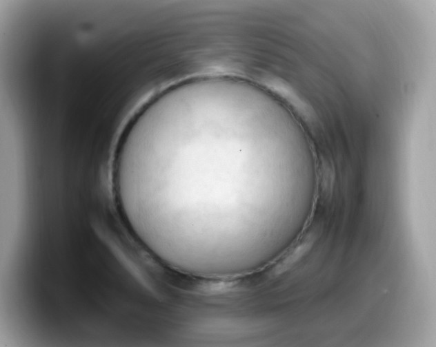 X0000099981278200805301346