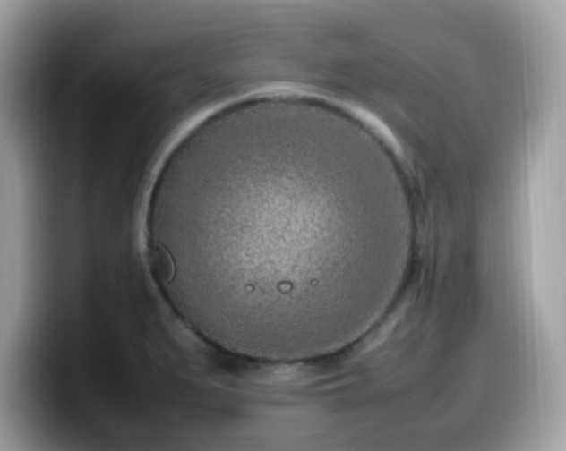 X0000099981279200805301346