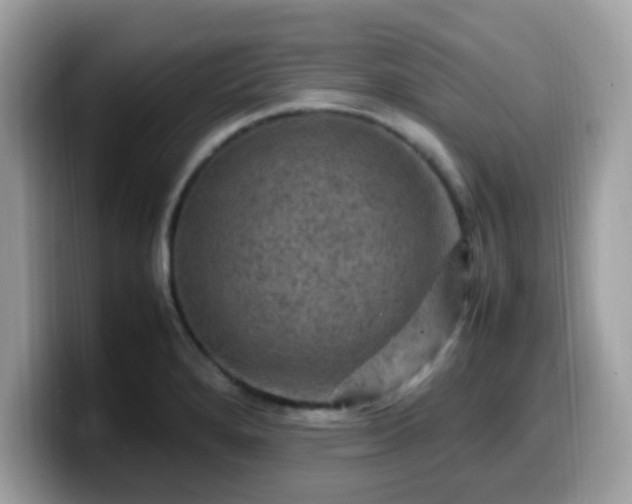 X0000099981280200805301346