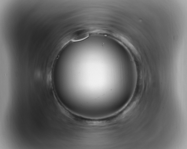 X0000099981281200805301346