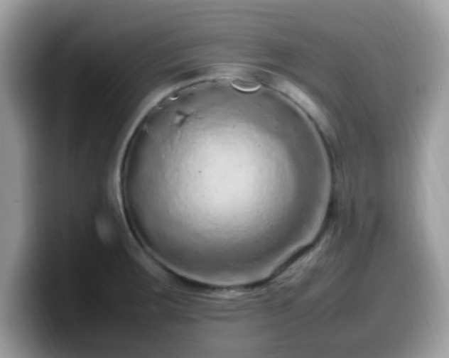 X0000099981283200805301346