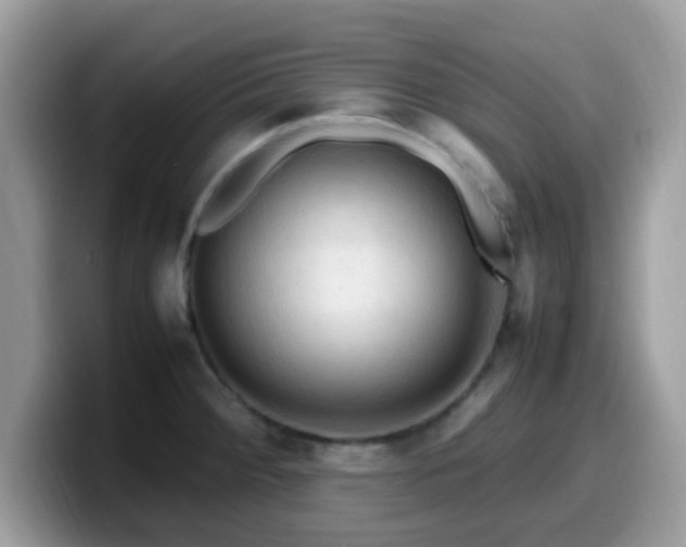 X0000099981284200805301346