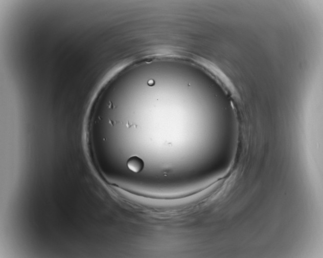 X0000099981285200805301346