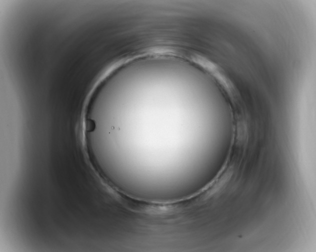 X0000099981286200805301346