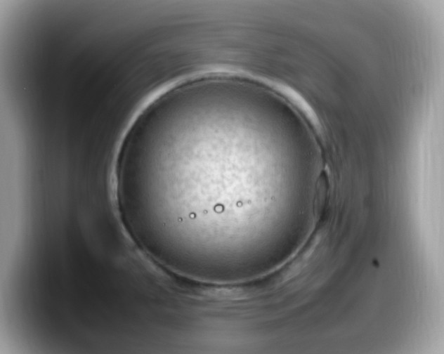 X0000099981287200805301346