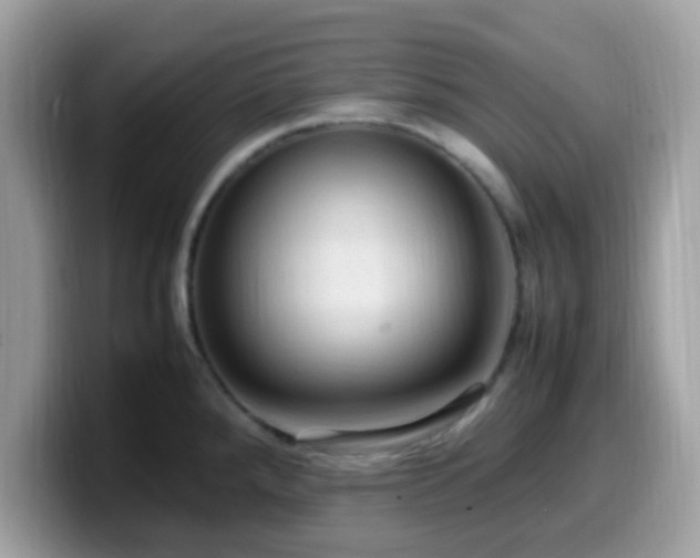 X0000099981288200805301346
