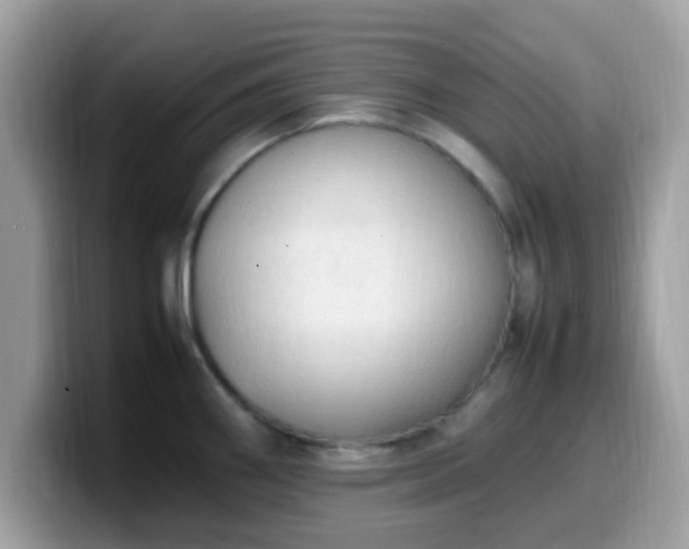 X0000099981290200805301346