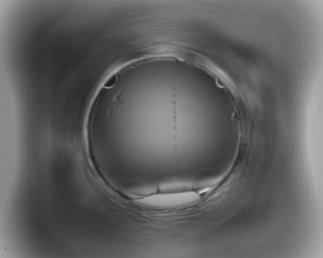 X0000099981291200805301346