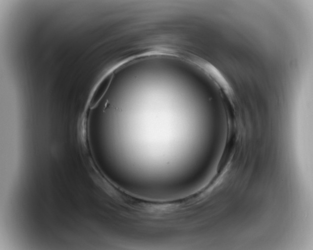 X0000099981292200805301346