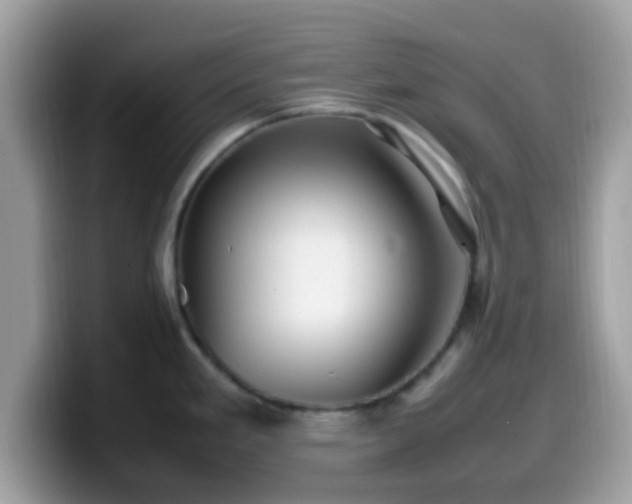 X0000099981293200805301346