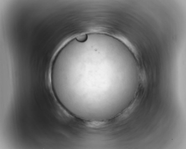X0000099981294200805301346