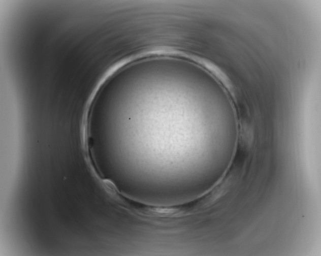 X0000099981295200805301346
