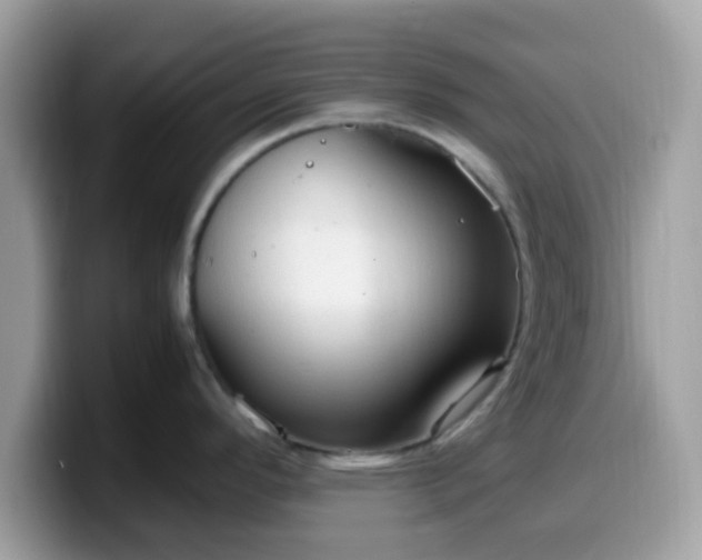 X0000099981296200805301346