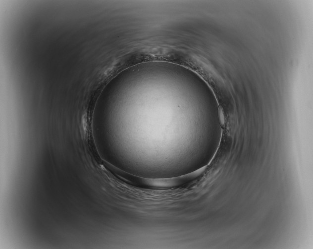 X0000099981298200805301345