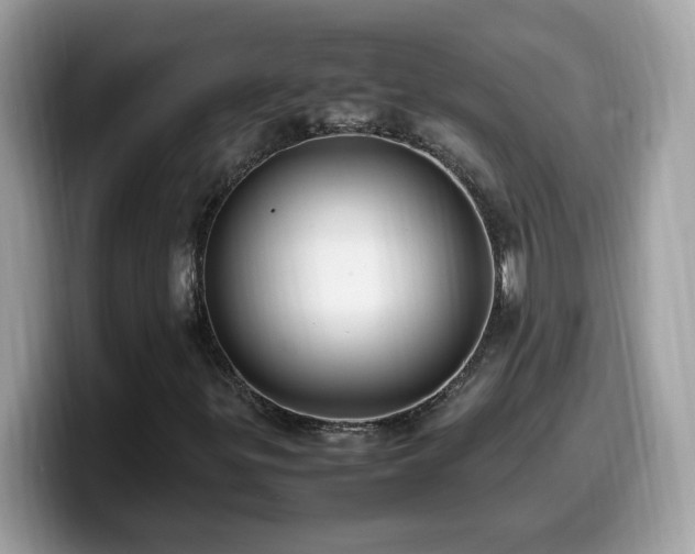 X0000099981299200805301345