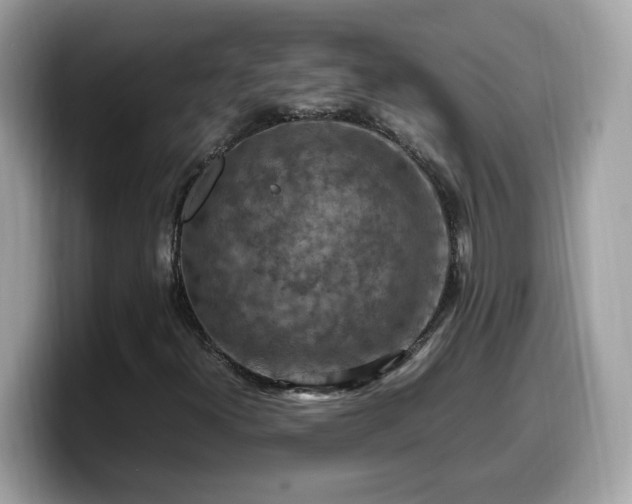X0000099981300200805301345