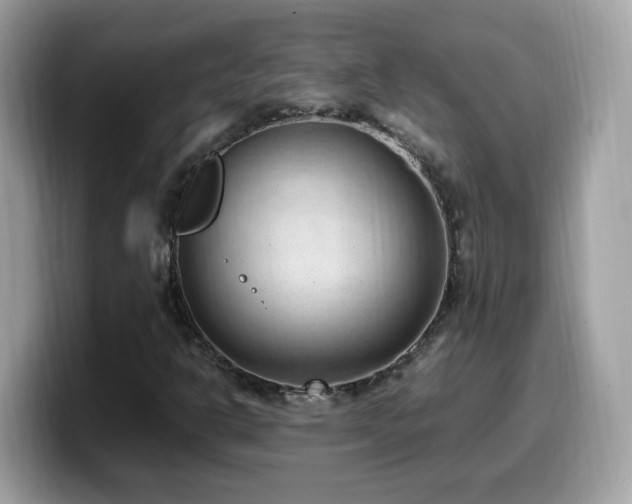 X0000099981302200805301345
