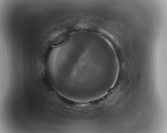 X0000099981303200805301345