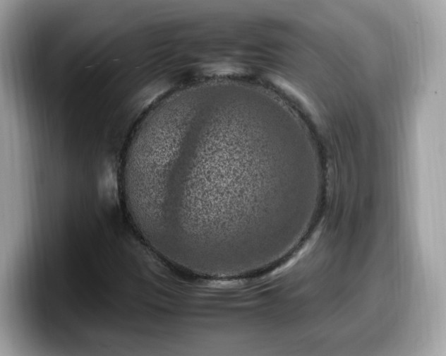 X0000099981305200805301345