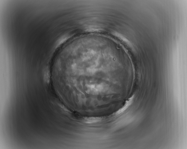 X0000099981306200805301345