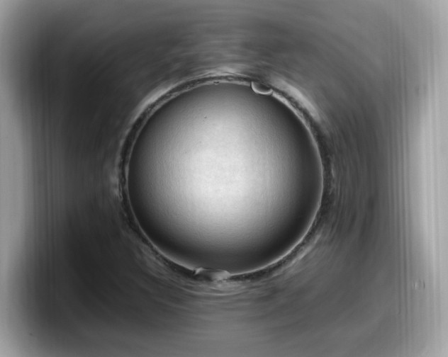 X0000099981308200805301345