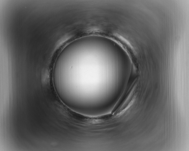 X0000099981309200805301345