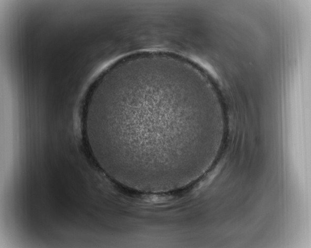 X0000099981311200805301345