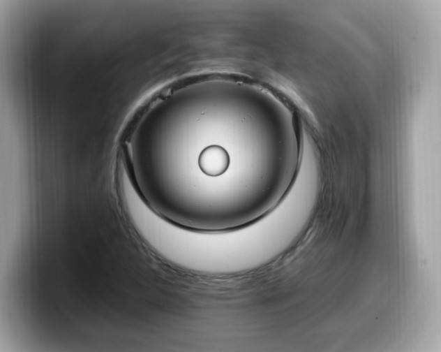 X0000099981312200805301345