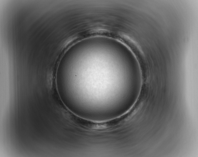 X0000099981313200805301345